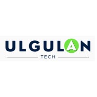 Ulgulan Tech logo - Similar company to 2Gbr Software Pvt Ltd