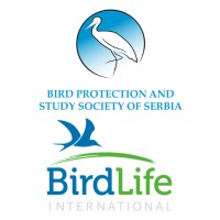 BirdLife Serbia - Bird Protection and Study Society of Serbia logo - Similar company to Dvoper Ltd.