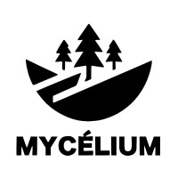 Mycélium logo - Similar company to Purchasely