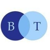 BrilliantRev Technologies logo - Similar company to Hr6 Solutions