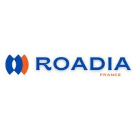 ROADIA FRANCE logo - Similar company to Digital Evolution
