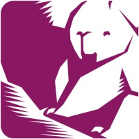 Agence digitale Koality logo - Similar company to Capska