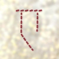 Label.Ekatran logo - Similar company to Yla Solutions