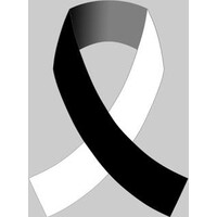 Living in the Grey - raising awareness of invisible disabilities logo - Similar company to The Grey Company Systems Limited (Thegreyco)