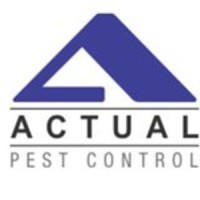 Actual Pest Control