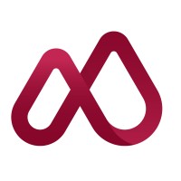 Mimino in Caucasus logo - Similar company to Visitgeorgia