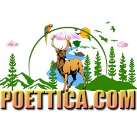 POETTICA Wall Arts And Home Decor logo - Similar company to Rubix Concept