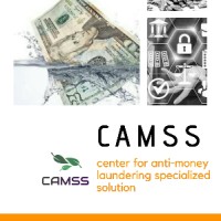 CAMSS logo - Similar company to Camss Group
