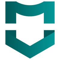 Maxivize Digitals logo - Similar company to Jáwó