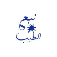 Tayeb Source logo - Similar company to Softverve Technologies Pvt. Ltd.