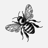 The Bee Magazine logo - Similar company to Prosper Magazine