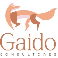 Gaido Consultores logo - Similar company to Fundación Malvarrosa