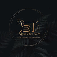 Synergy Team