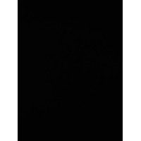 Shadowws logo - Similar company to Clorida Technologies Pvt Ltd
