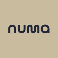 NUMA (NewLogUp) logo - Similar company to Arcanemag