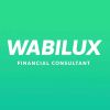 Wabilux Financial Consultant logo - Similar company to Technokrax