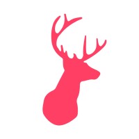 Big Eye Deers Ltd. logo - Similar company to Concentric | Customer Experience