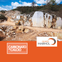 GUATEMARMOL/ CARBONATO DE CALCIO logo - Similar company to Vector Strategy