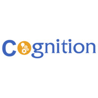 Cognition TechSystems Pvt. Ltd. logo - Similar company to Cognition Technology Private Limited