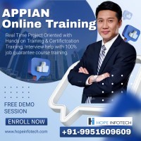 Appian Training logo - Similar company to Deft (Appian Partner)