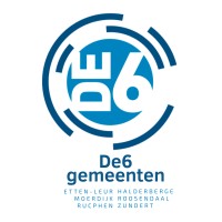 De6 Gemeenten logo - Similar company to Anysurfer