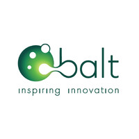 Balt Brasil logo - Similar company to Torus Systems