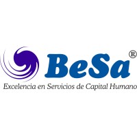 BeSa Consulting logo - Similar company to Matrix
