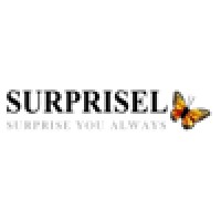Surprisel Pte Ltd