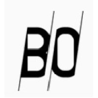 BO Experience logo - Similar company to Flowbotics.Ai