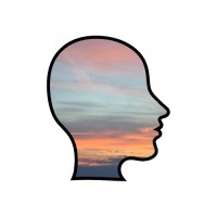 ApertaMenteWeb logo - Similar company to Psyeventi