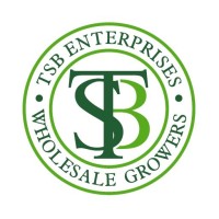 TSB Enterprises, LLC logo - Similar company to Furbish