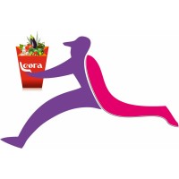 Leora logo - Similar company to Leora Solution Llp