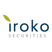 IROKO SECURITIES LTD logo - Similar company to Net Platforms Ltd