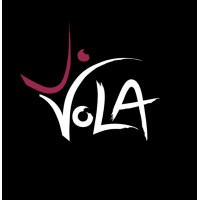VoLA Stage Art logo - Similar company to Minding Gaps