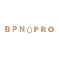 BPN PRO logo - Similar company to Gdl Development
