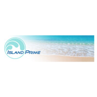 Island Prime Ltd Mauritius / South Africa logo - Similar company to Team Synthesis (Mauritius & Africa) Ltd