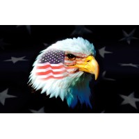 COUNTERTERRORISM: KEEPING THE WORLD SAFE! ✊🏻🇺🇸🇸🇦🇦🇪🇰🇼🇧🇭🇶🇦🇴🇲🌎 logo - Similar company to Euced - Eeig