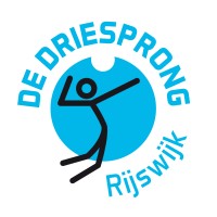 Volleybalvereniging De Driesprong logo - Similar company to Umarex Laserliner Benelux