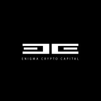 Enigma Crypto Capital logo - Similar company to Color Films