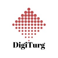DIGITURG logo - Similar company to Mr.Programmer