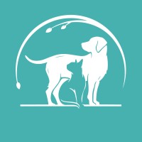 Ravenna Animal Hospital logo - Similar company to Incisioni Ravenna