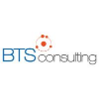 BTS Consulting logo - Similar company to Bst Consulting