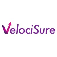 VelociSure logo - Similar company to Alignedge