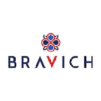 BRAVICH LTD logo - Similar company to Any Technologies