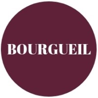 VINS DE BOURGUEIL logo - Similar company to Vignobles Du Paradis