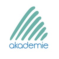 Akademie Dampsoft logo - Similar company to Teemer