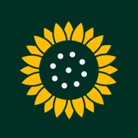 Solflower Marketing logo - Similar company to Sol Flower Wellness