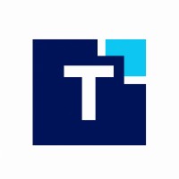 Techno Items logo - Similar company to Tolaka Tech Solutions