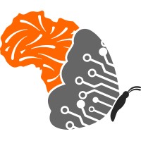 Butterfly Afrika logo - Similar company to Crescendo Digital