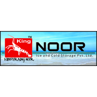 NOOR ICE AND COLD STORAGES PRIVATE LTD logo - Similar company to Studio Lcd